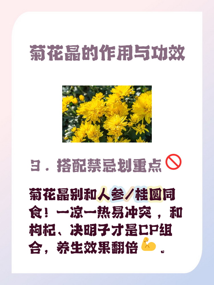菊花晶的作用与功效小孩可以喝吗