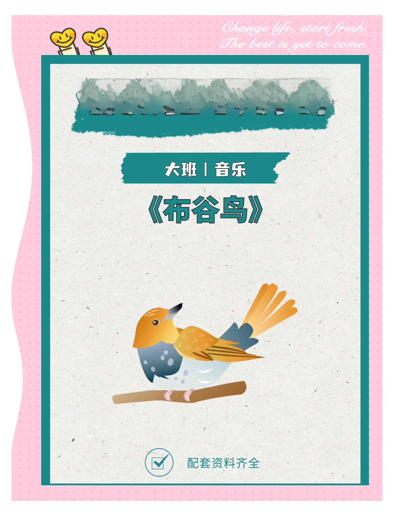 布谷鸟的鸟