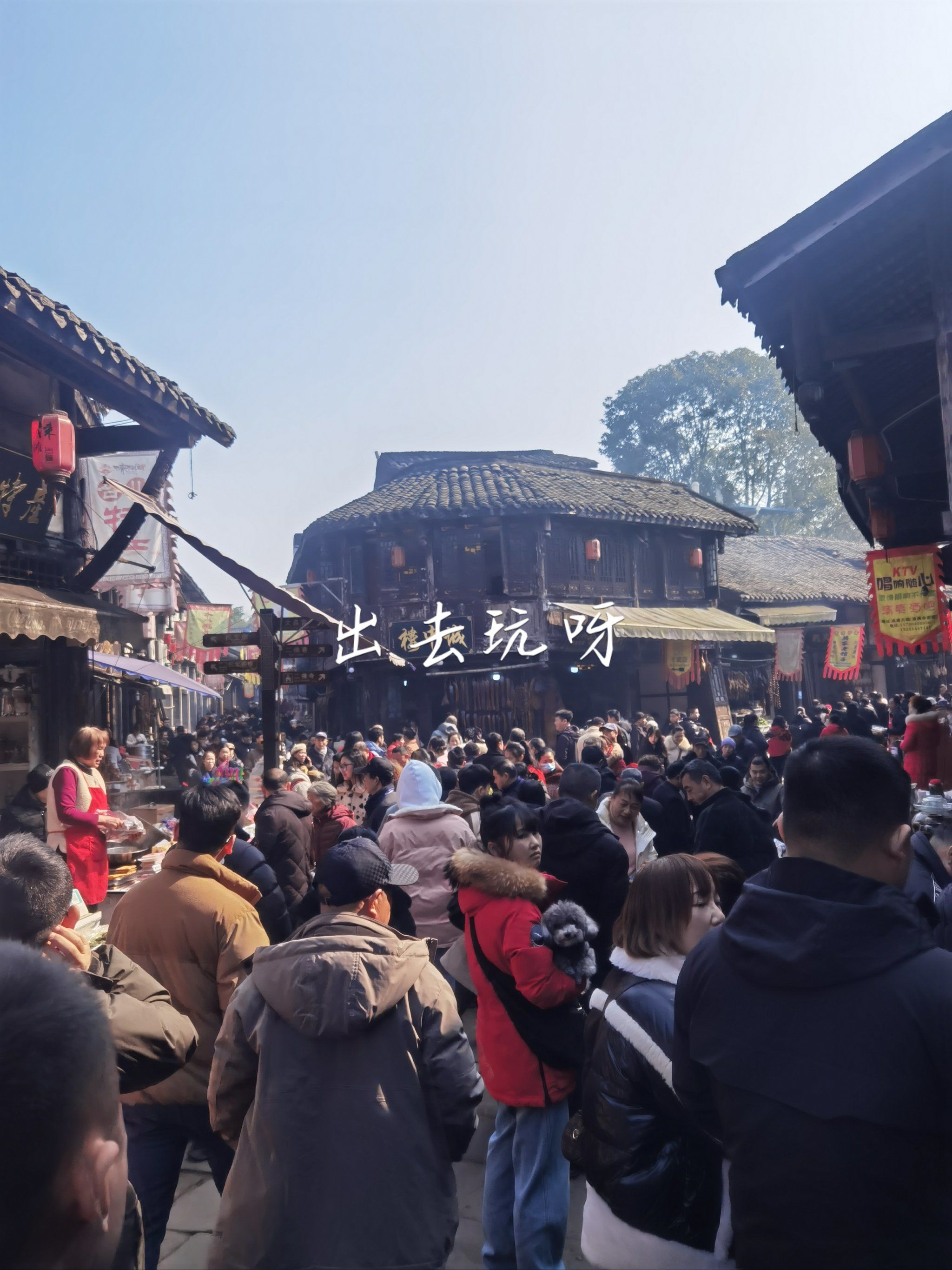 春节国内去哪玩