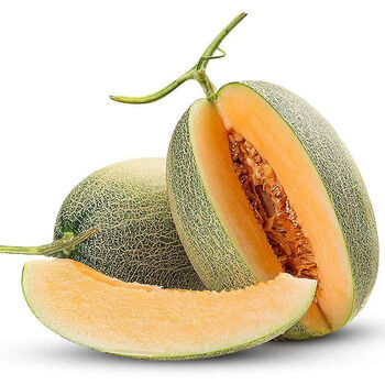 哈密瓜的英语是什么?