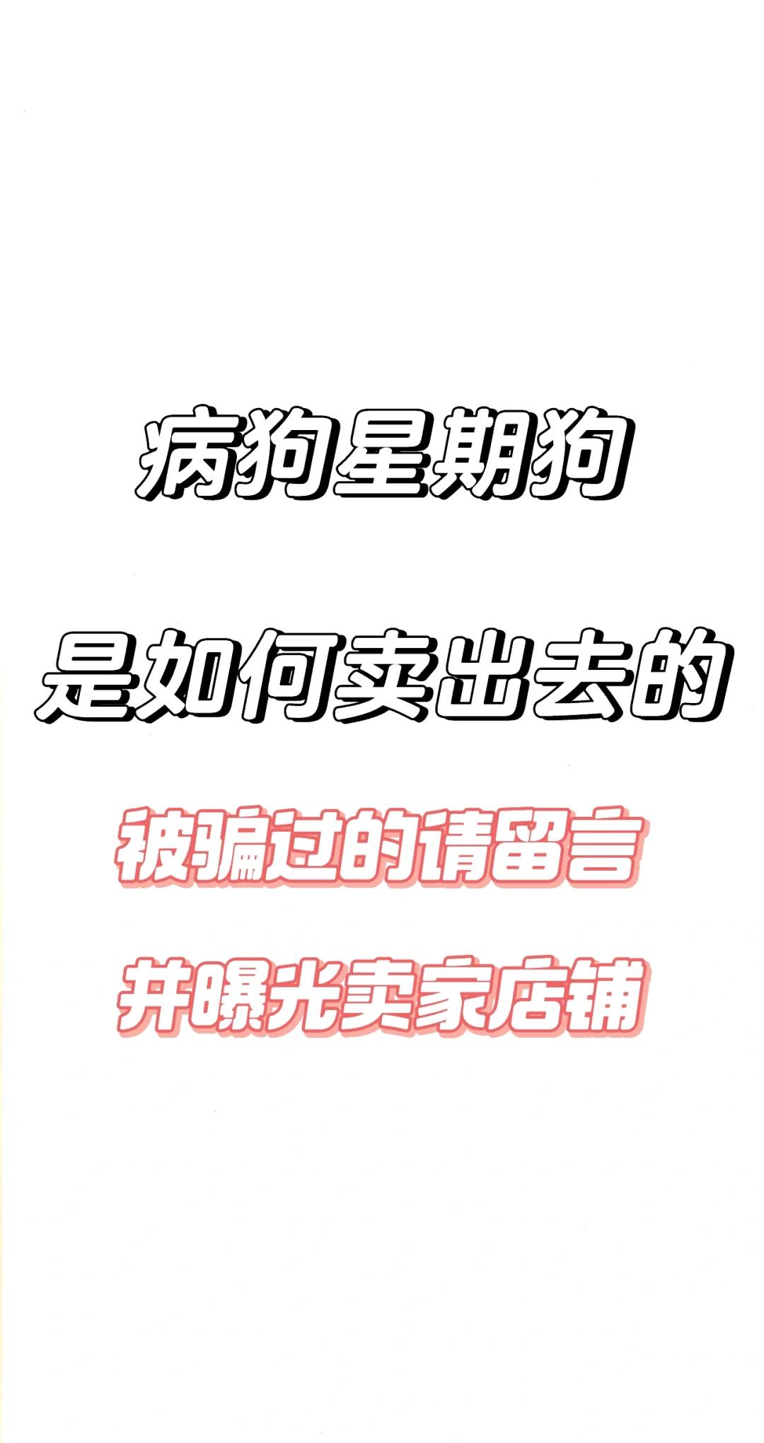 星期狗啥意思