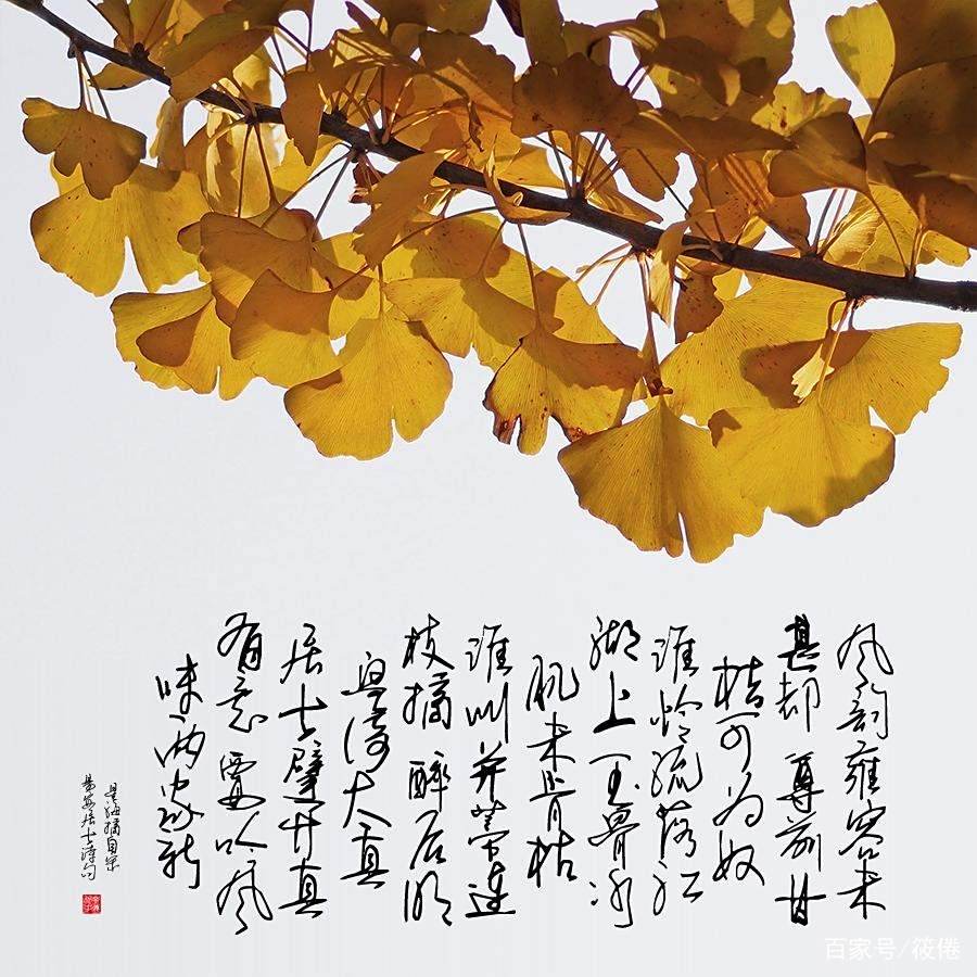 关于银杏的诗句李清照