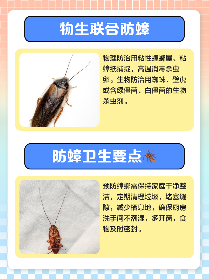 家里面蟑螂怎么消灭