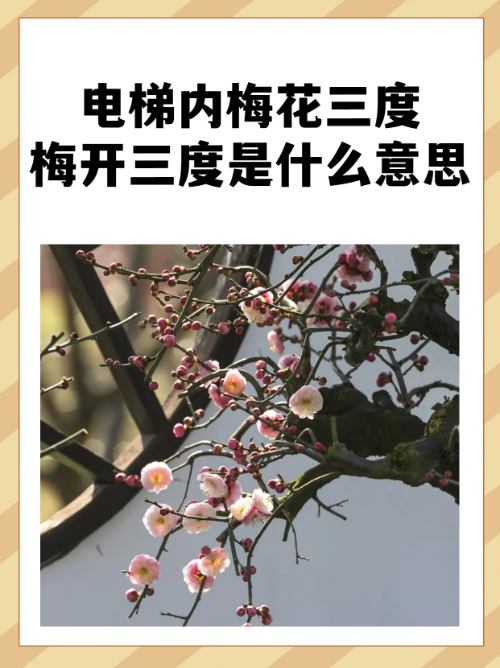 严谨的读音