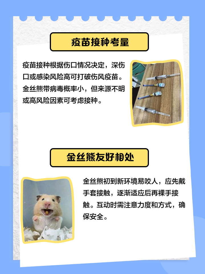 金丝熊咬人不松口眼珠子要瞪出来