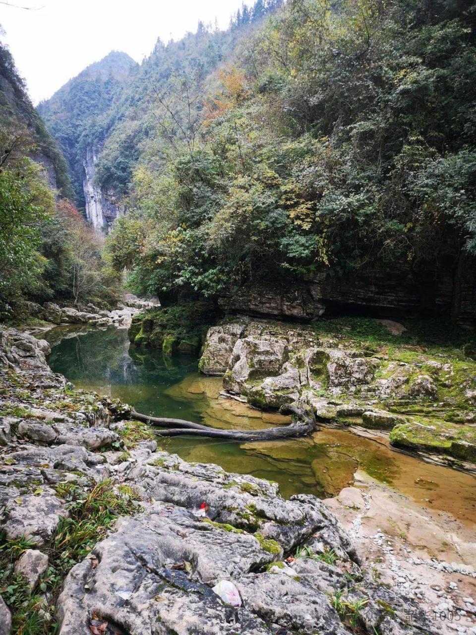 河床是什么意思图片