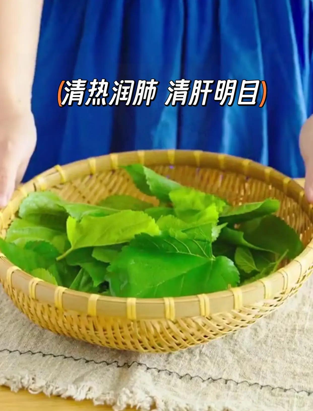 凉拌桑叶怎么做好吃