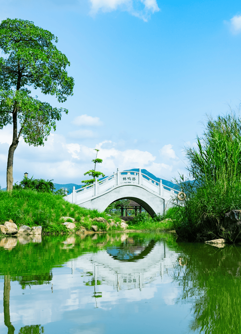 石岩哪里有100块钱的
