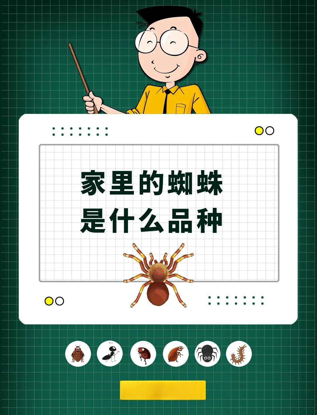 蜘蛛会记仇嘛