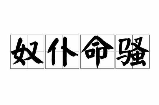 卓的意思是
