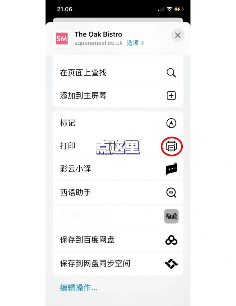 怎么打开safari浏览器的互联网