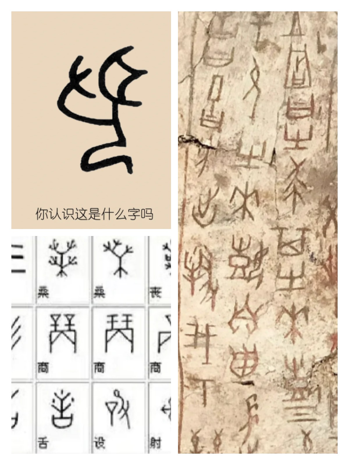 什么是甲骨文的主要使用时期