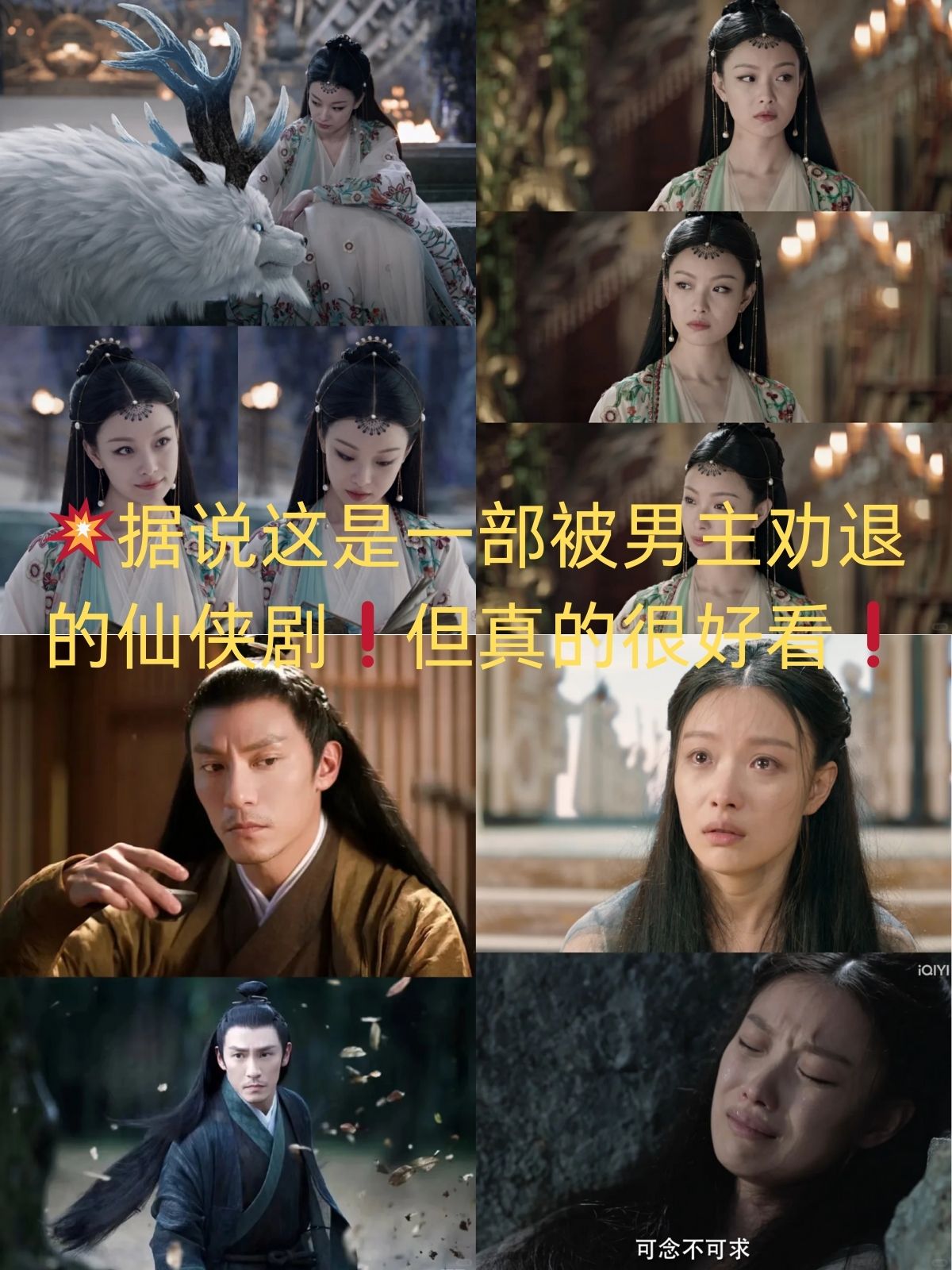 宸汐缘介绍