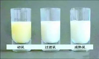 初乳是什么颜色才正常
