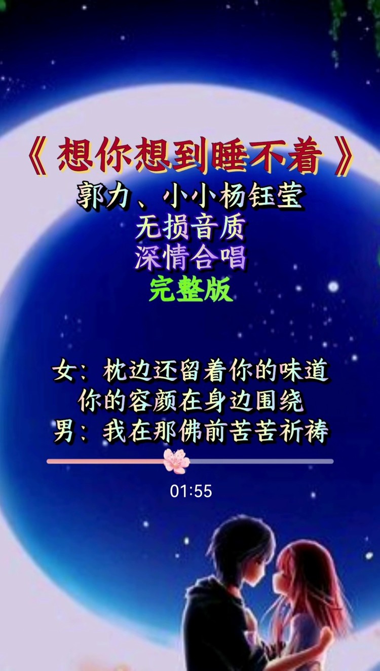 想你睡不着的歌