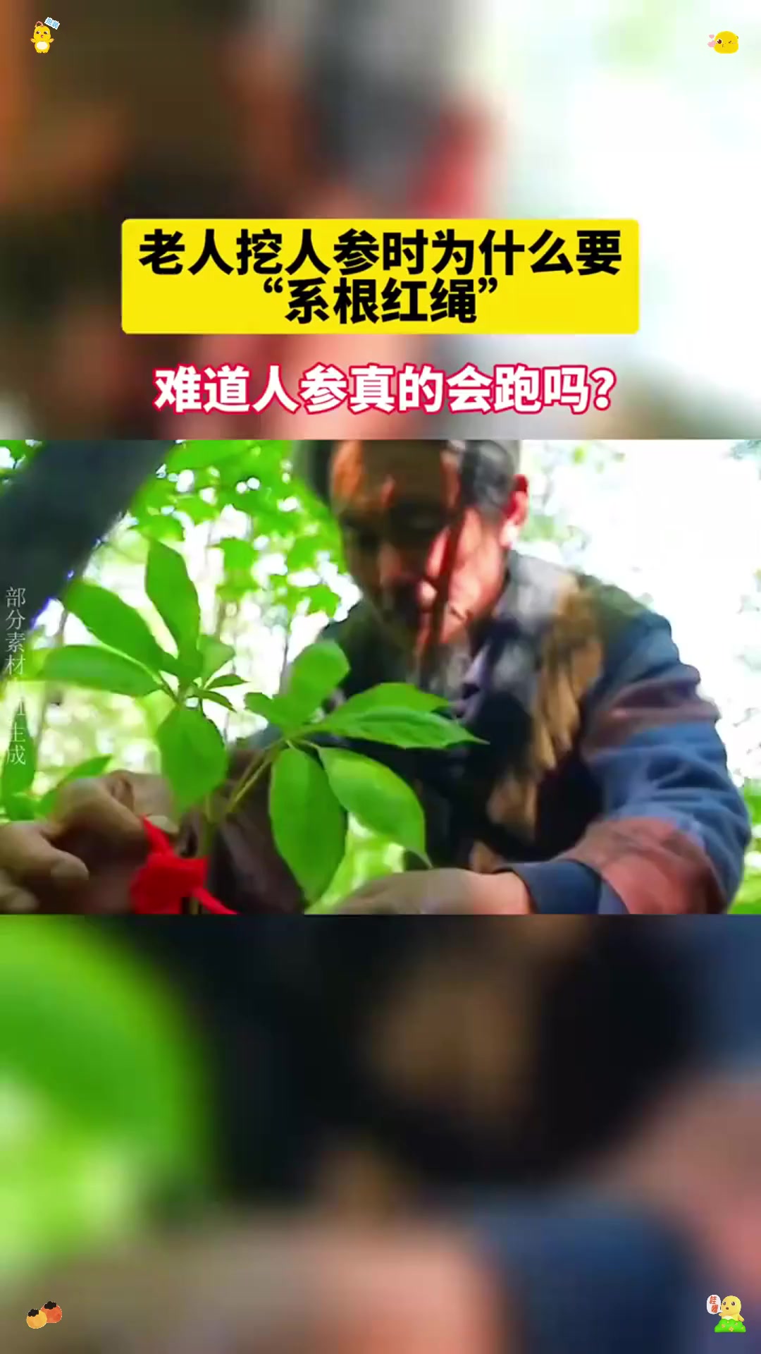 人参逃跑是什么原理