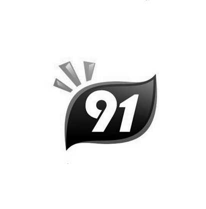 913是什么意思