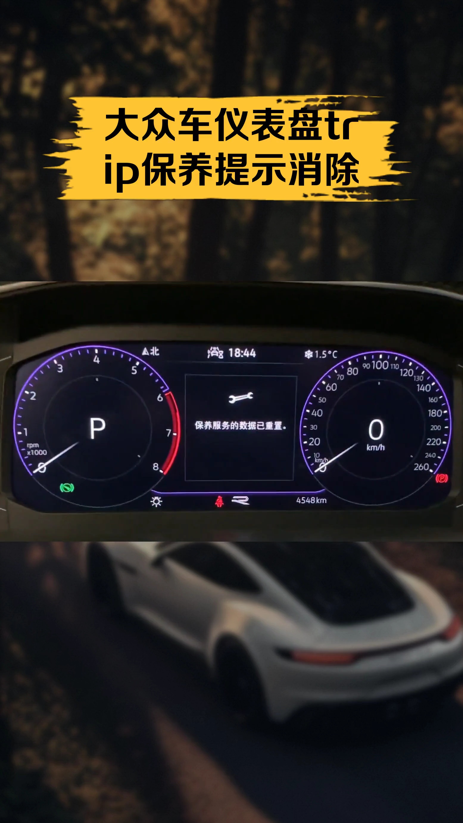 trip的意思