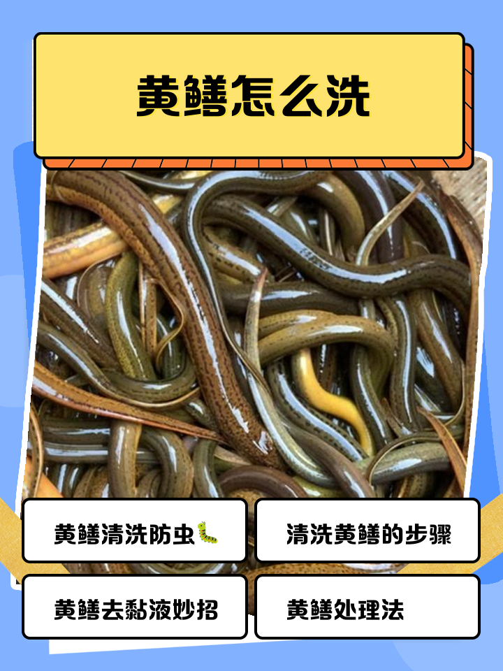黄鳝怎么处理干净放冰箱里
