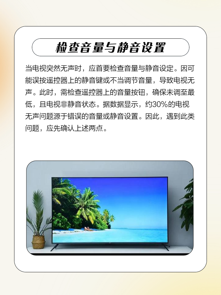 电视没有声音的原因及解决方法