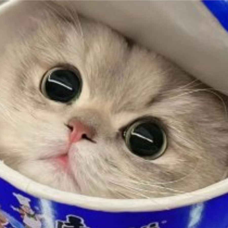 猫叫声播放