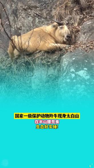 吃二级保护动物判多少年