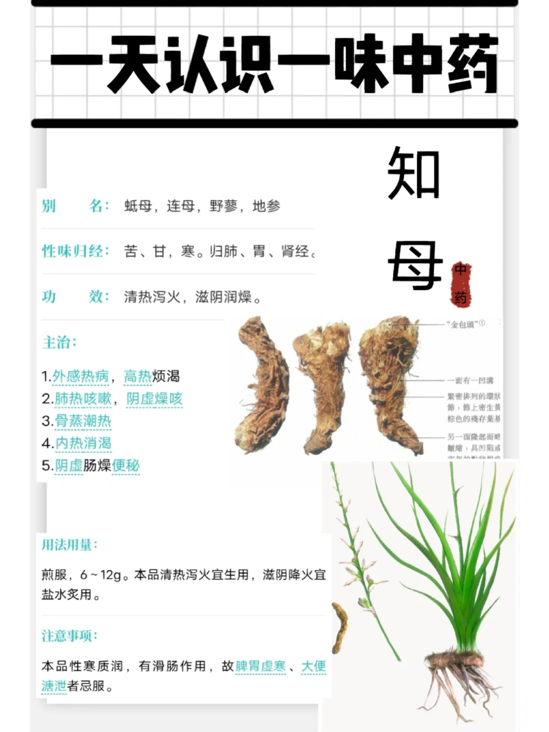 清热养阴的中医药养生方剂