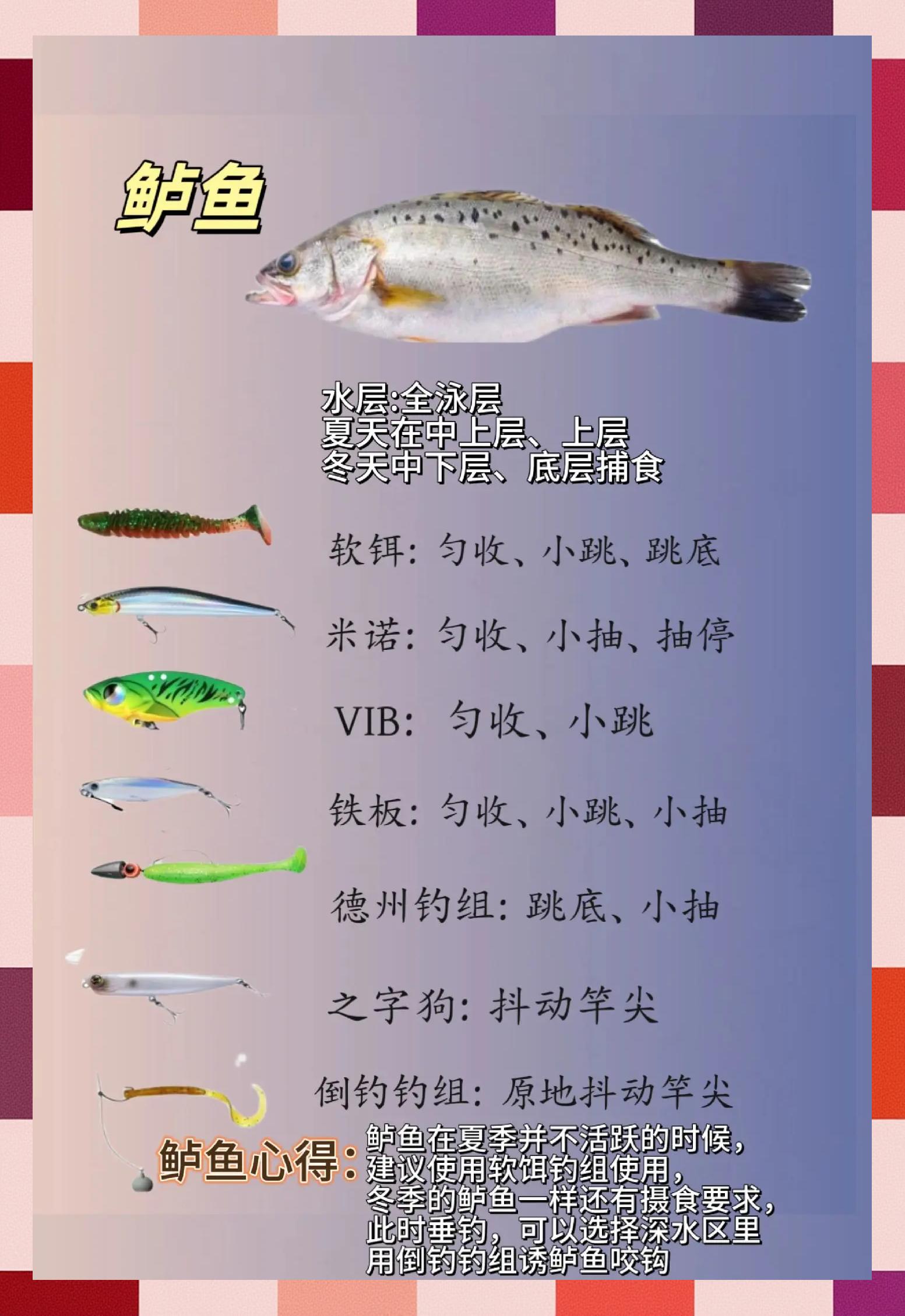 何为路亚钓法