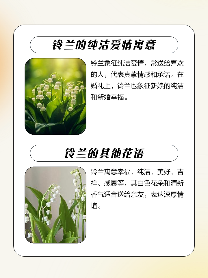 白色铃兰的花语