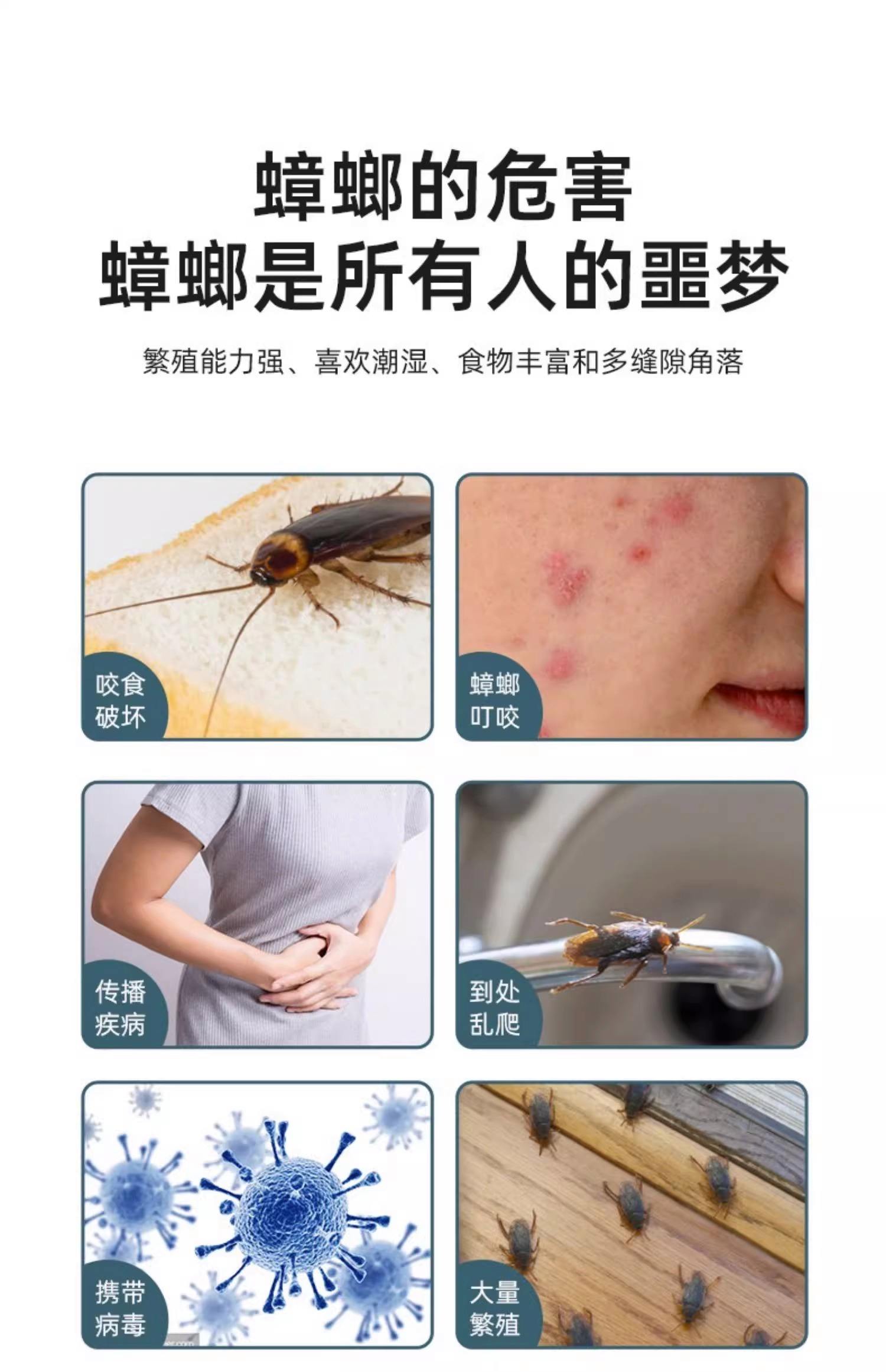 怎样灭蟑螂最快最有效