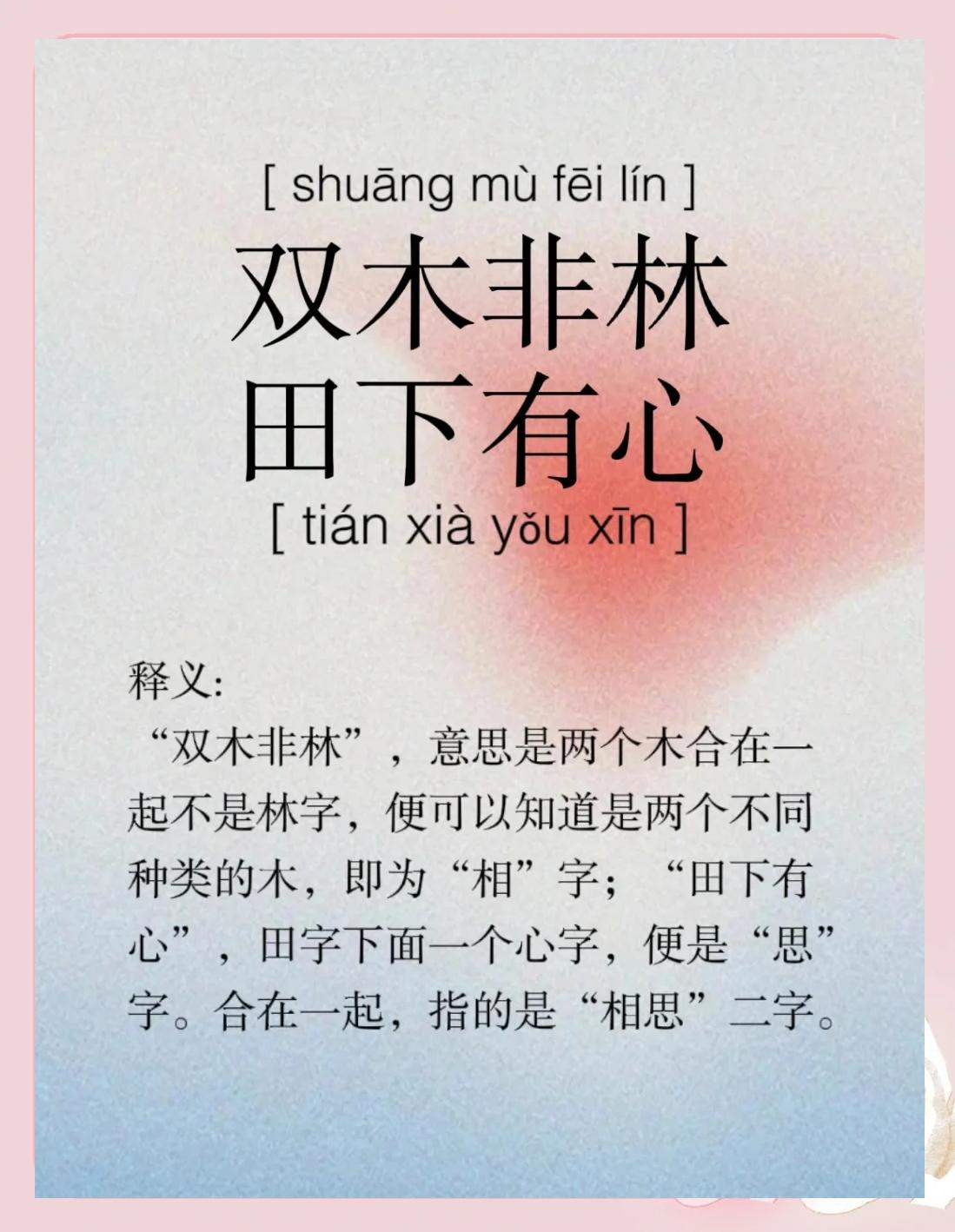 闽南话塞林木叽歪什么意思