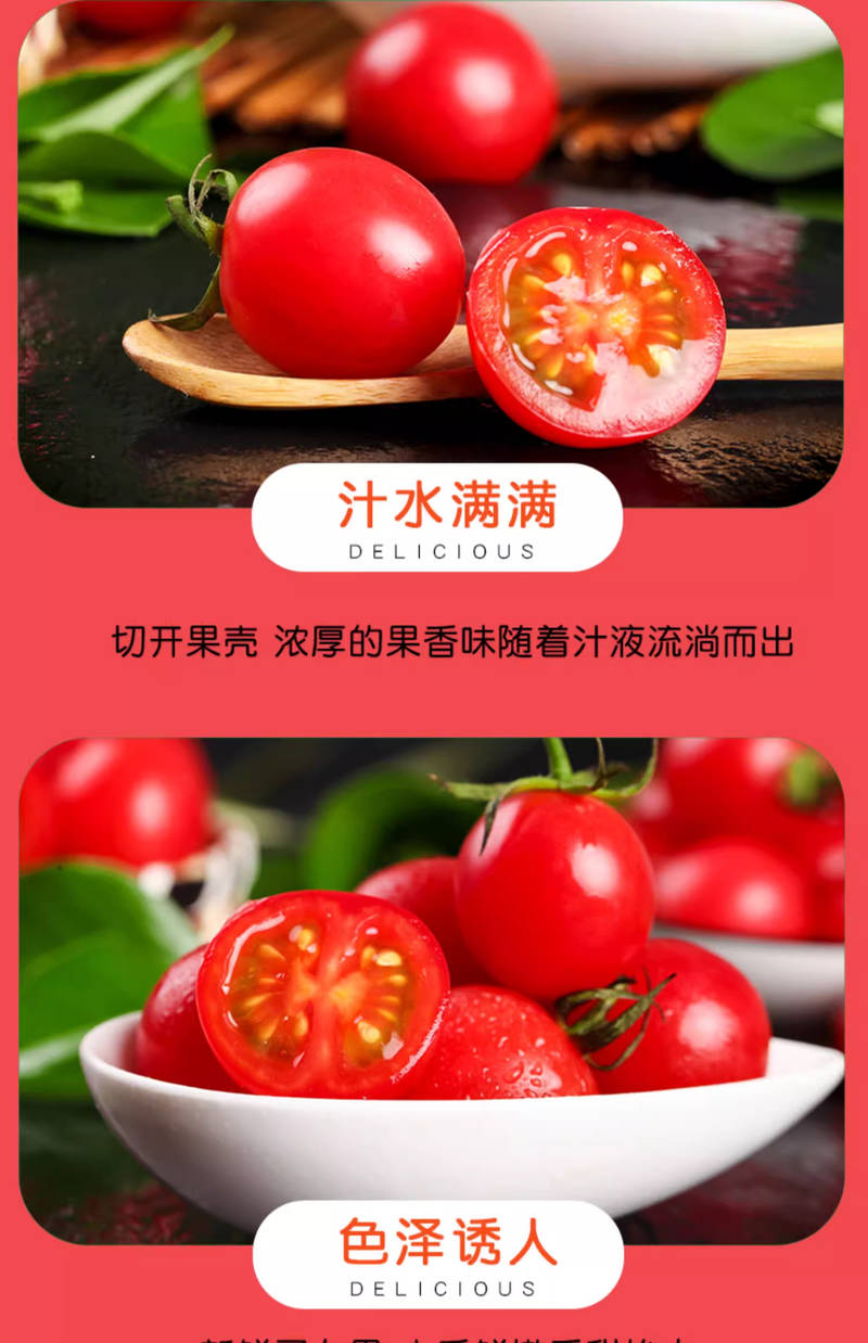 圣女果和小番茄哪个比较好吃