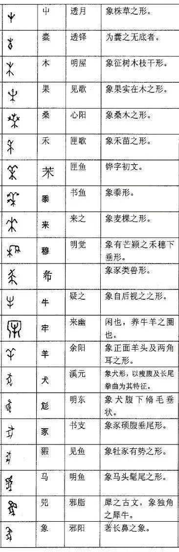 象甲的词语解释是什么呢