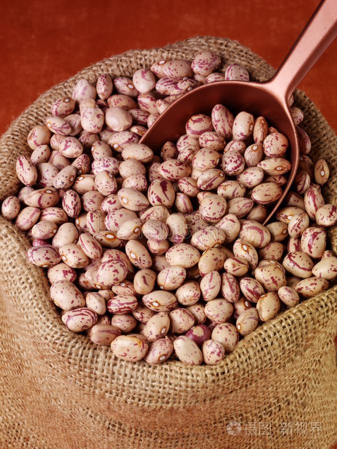 肾豆是什么意思