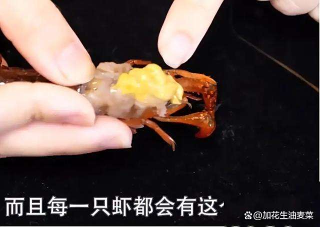 龙虾的头为什么那么大