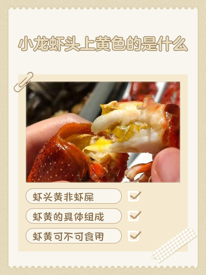 龙虾的头为什么那么大