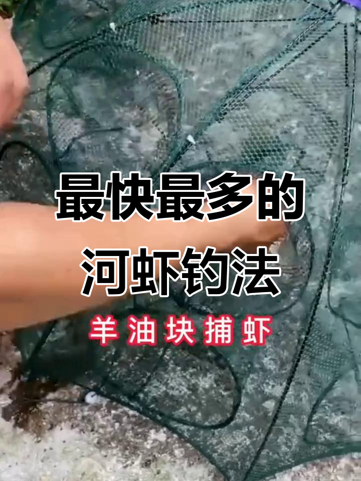 捕河虾技巧