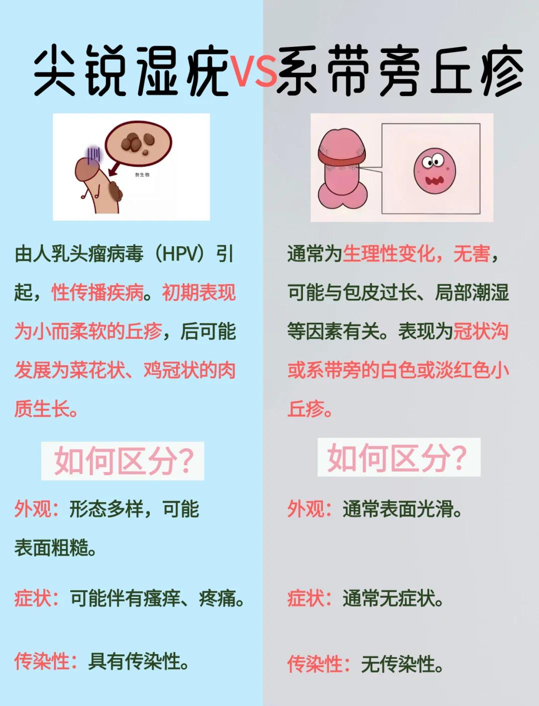 请问丁克是什么意思