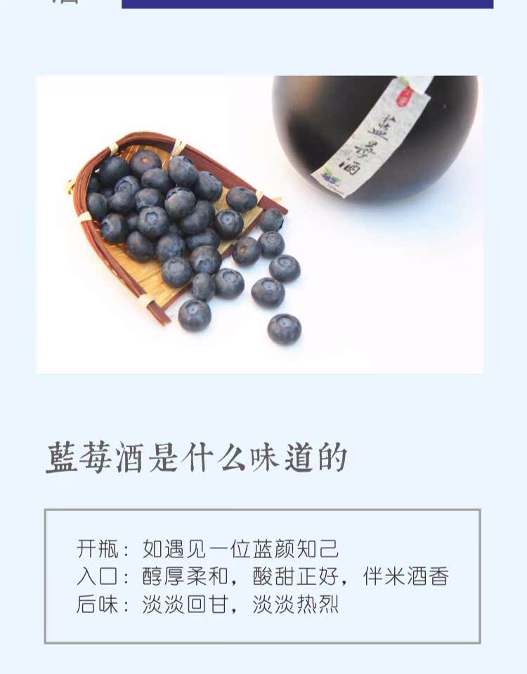 蓝莓酿酒怎么酿
