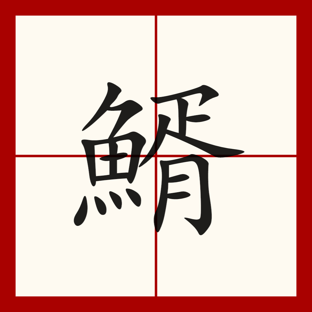 鳍什么字怎么读音