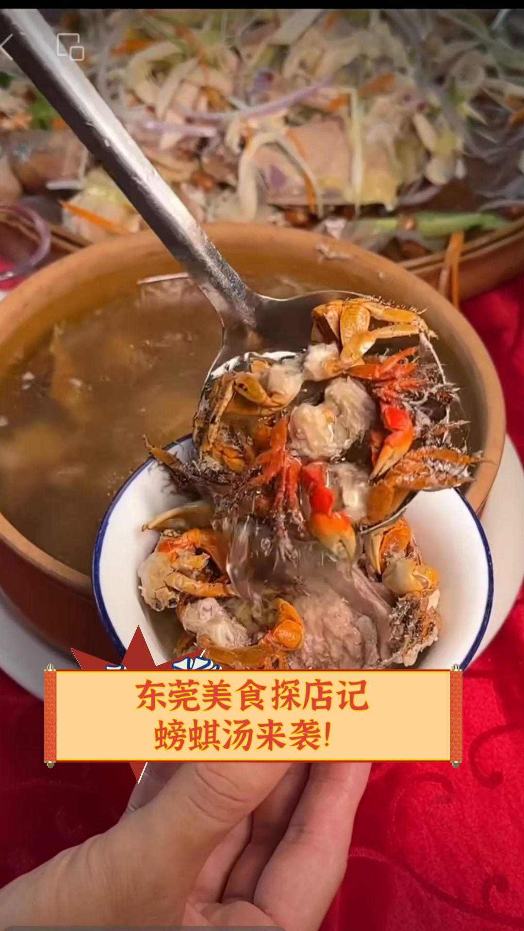 什么是鸸鹋