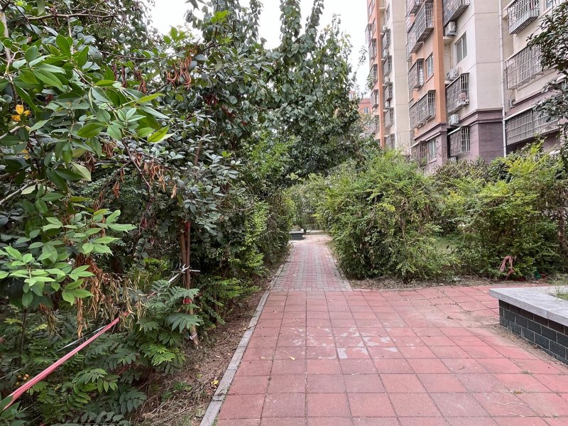 安阳国泰嘉园是高档小区吗