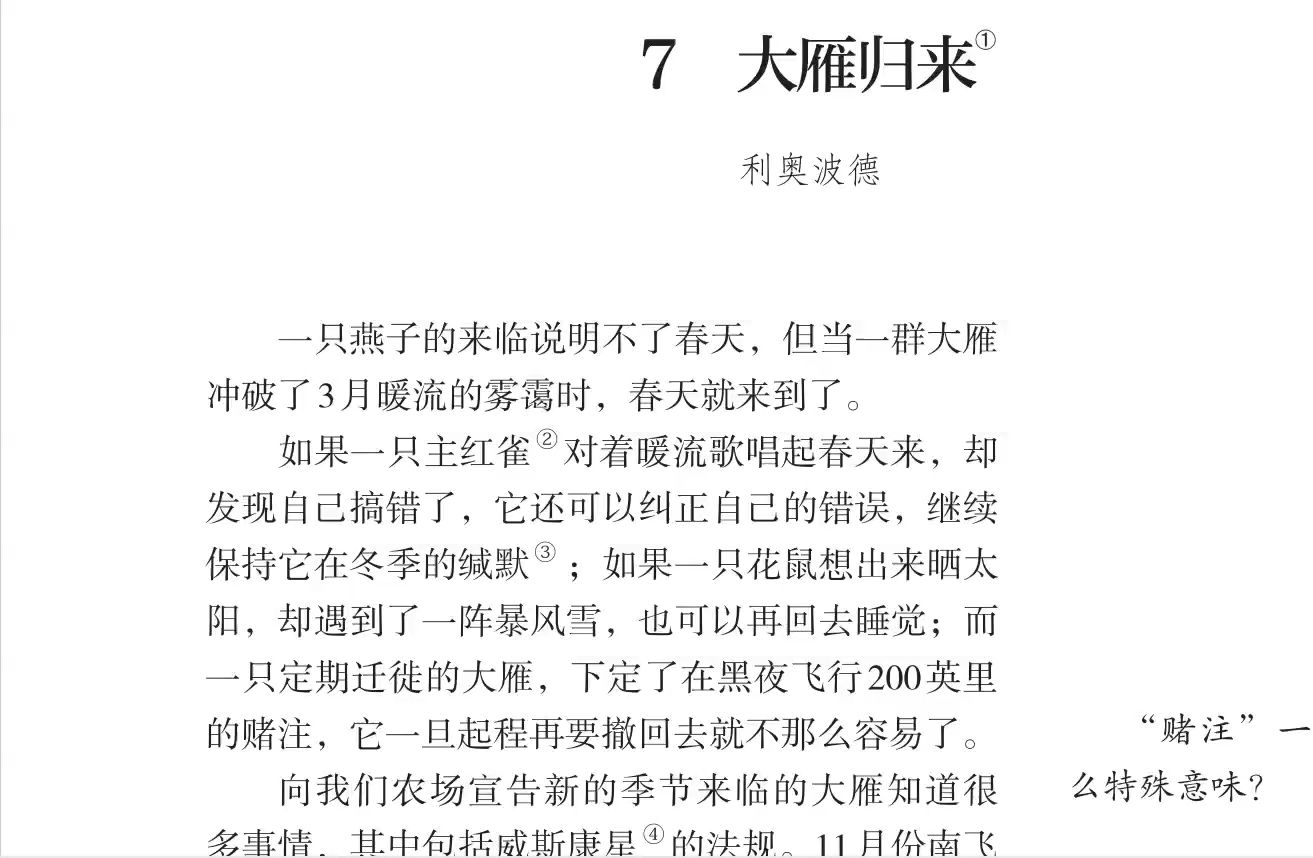 有关大雁的诗句及其象征意义