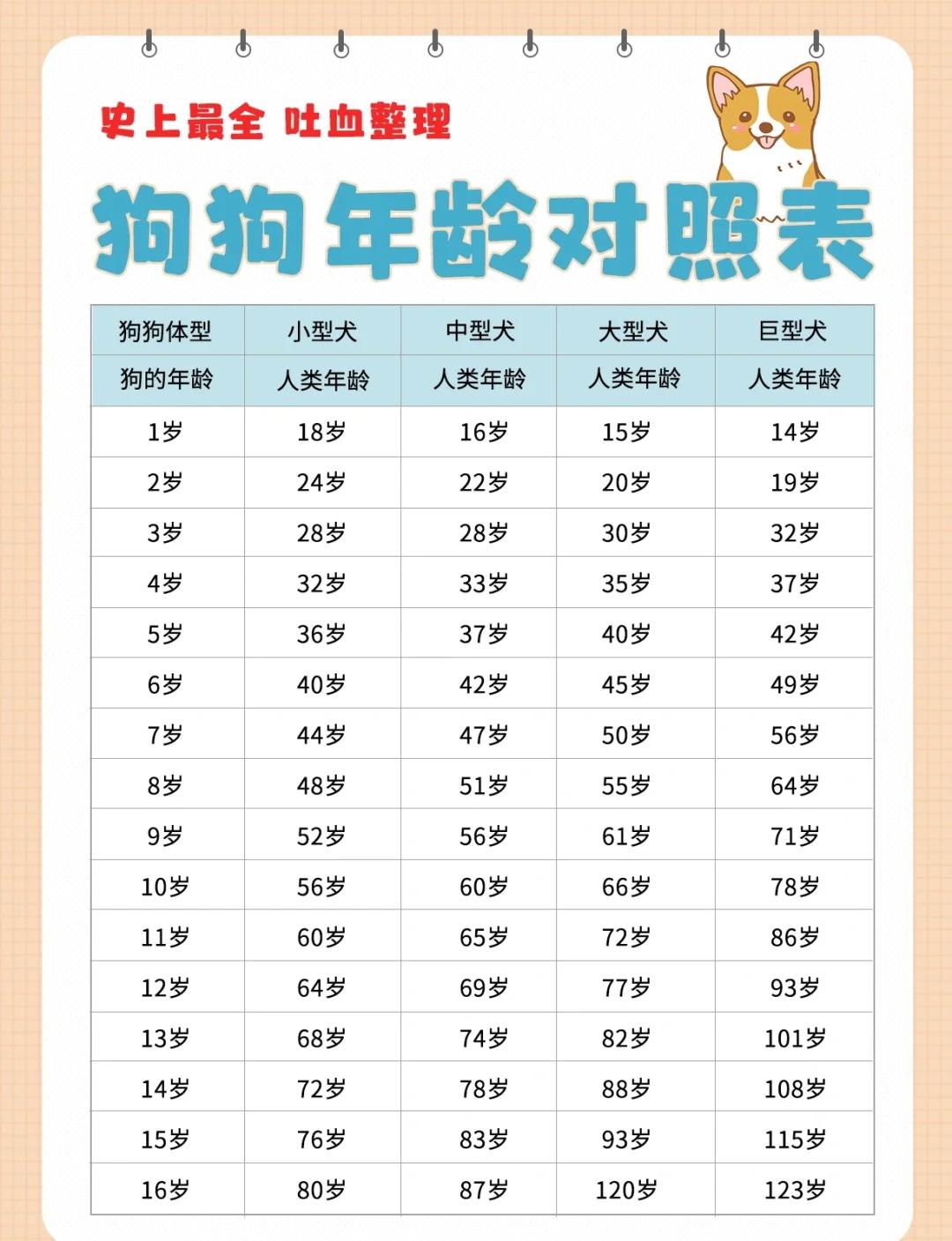 汉永安