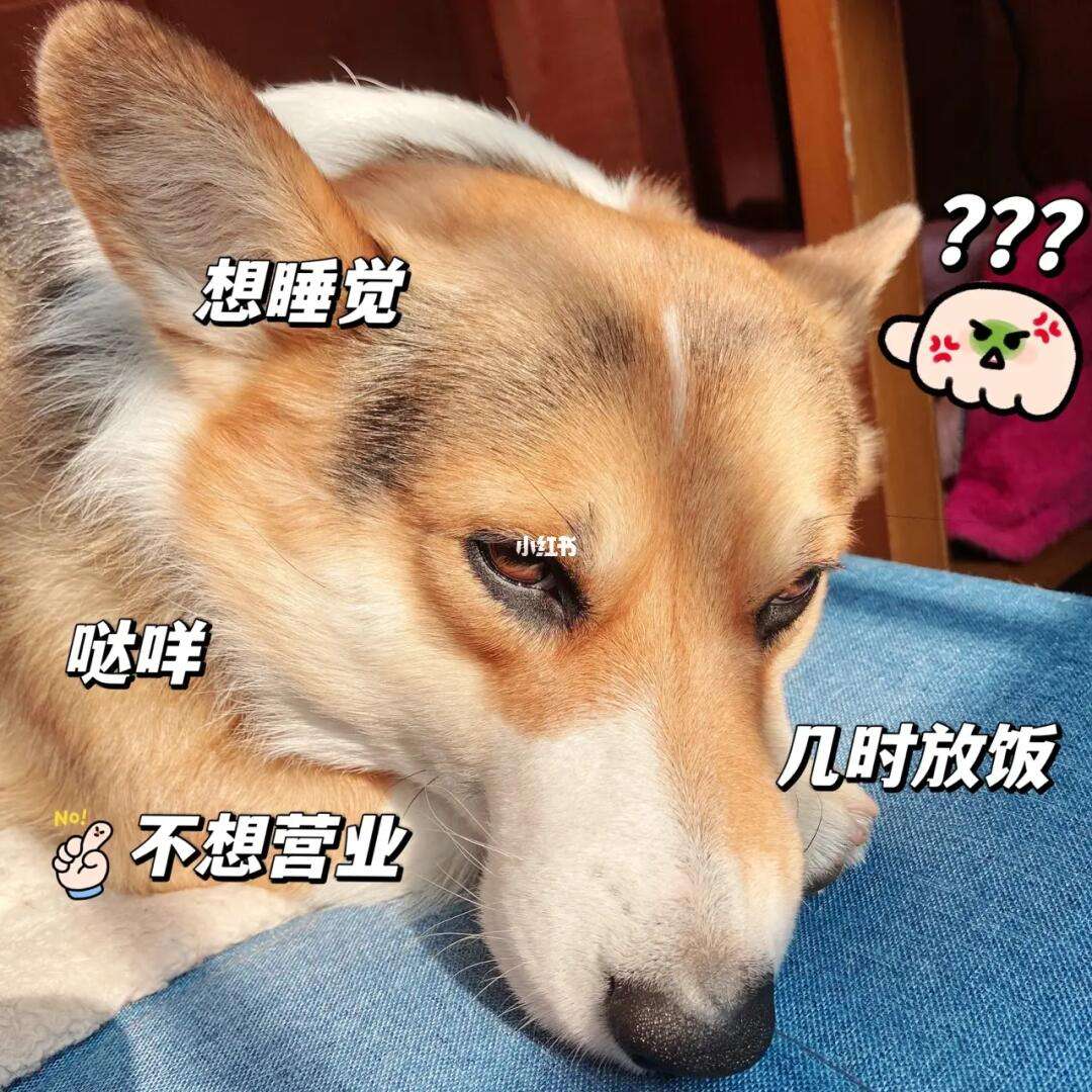 被迫营业是褒义词还是贬义词