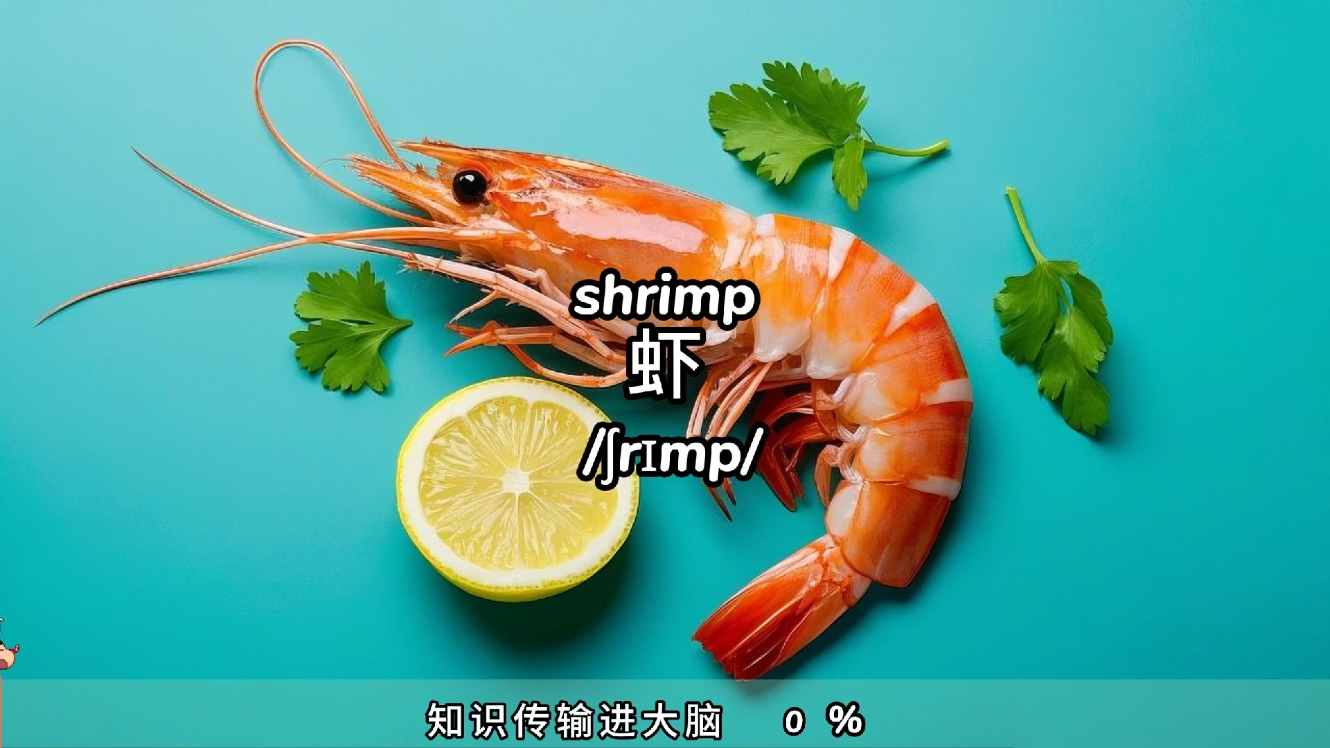 梦见虾有什么寓意