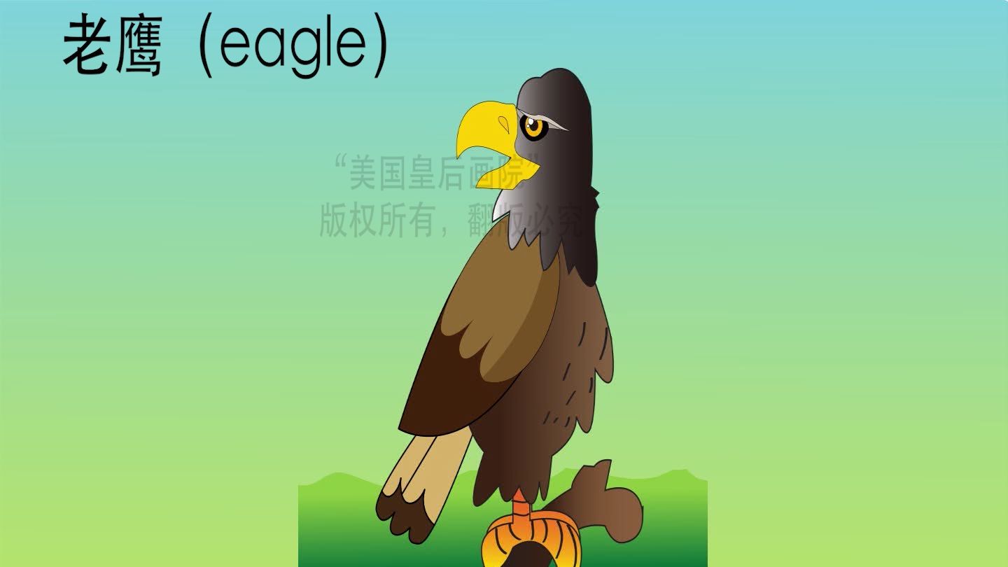 绿色的鸟用英语怎么说