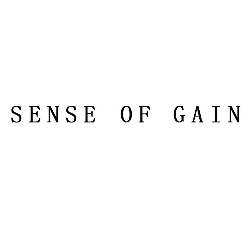 sense的英文翻译
