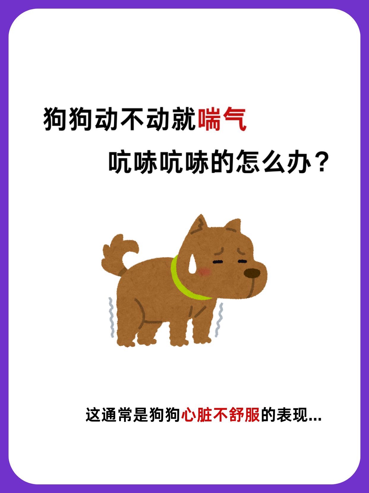 狗狗老吐舌头,呼吸急促怎么办?