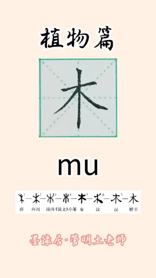 木字组词有哪些组词呢一年级